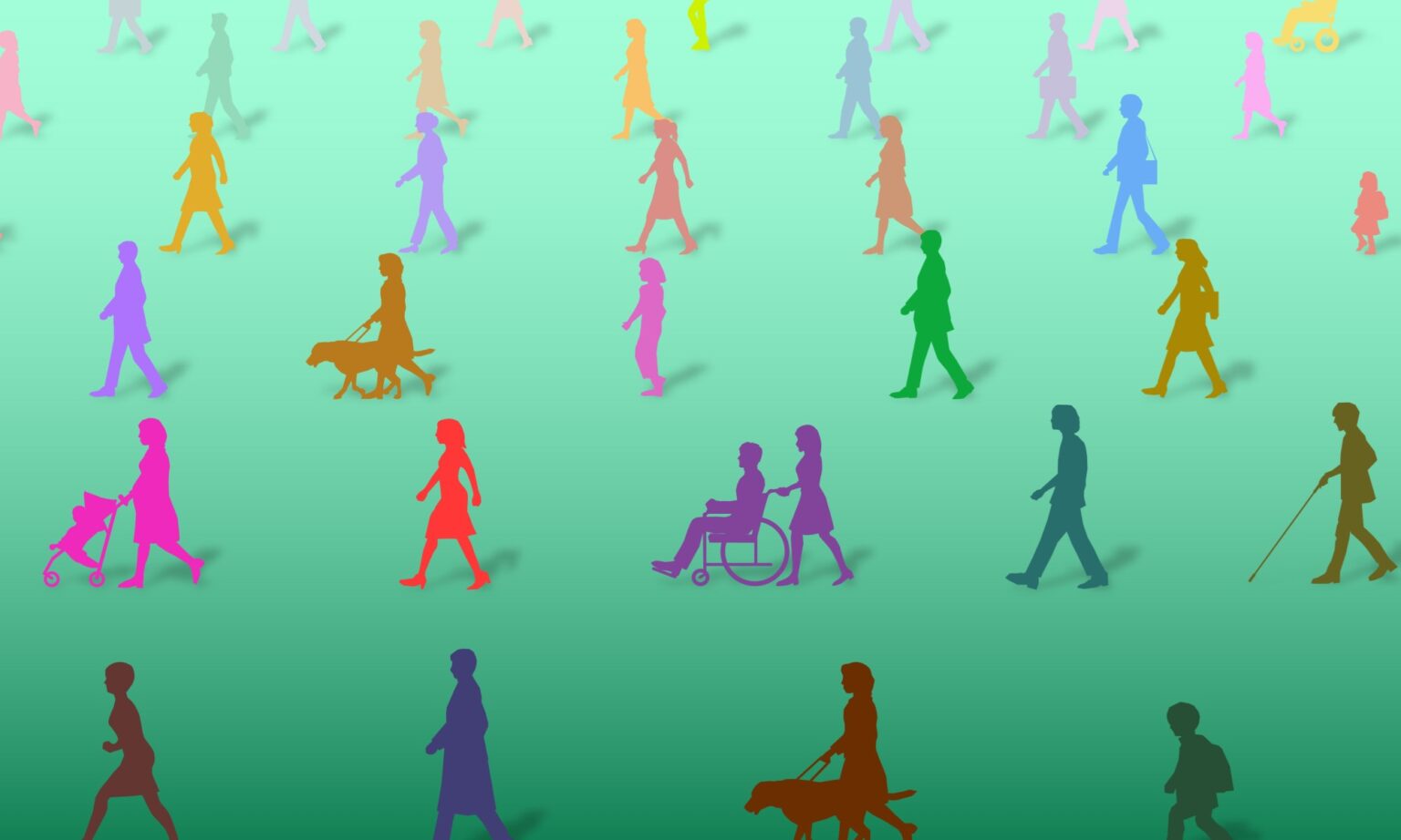 Inclusive Design Network